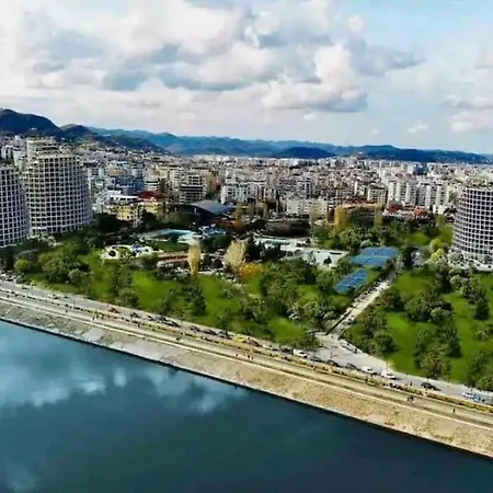In Tirana